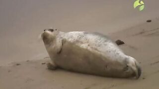 Осенняя рыбалка на Байдарацкой губе Карского моря