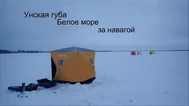 Унская губа Белого моря: ночная навага в канаве