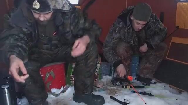 Унская губа Белого моря: ночная навага в канаве
