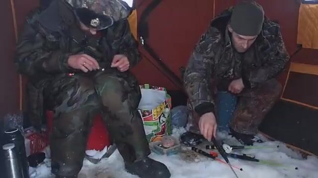 Унская губа Белого моря: ночная навага в канаве