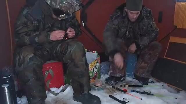 Унская губа Белого моря: ночная навага в канаве