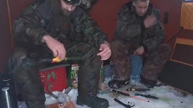 Унская губа Белого моря: ночная навага в канаве