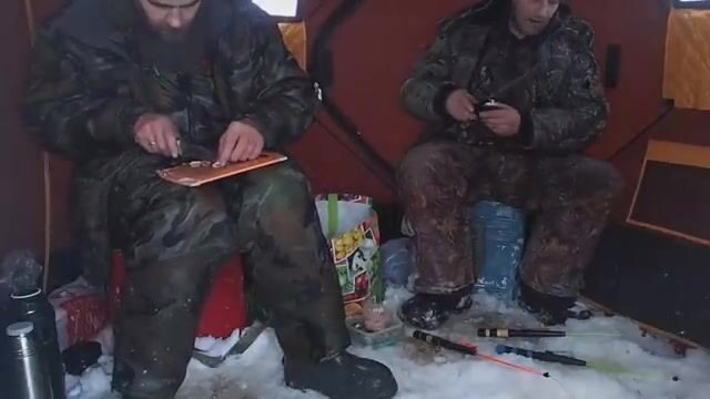Унская губа Белого моря: ночная навага в канаве