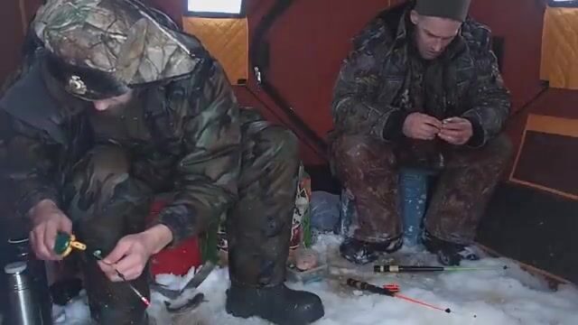 Унская губа Белого моря: ночная навага в канаве