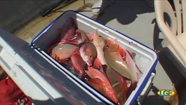 Донная ловля и рыбные ловушки на Рангироа