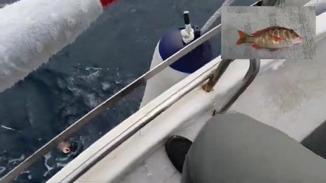 Семейная рыбалка у Мияко и удача младшего сына