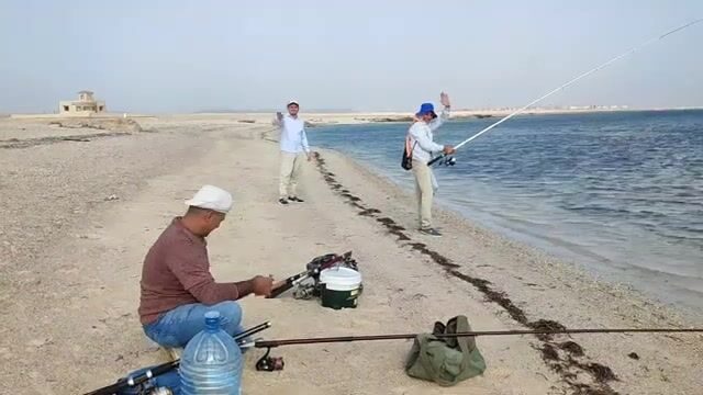 Рыболовный выезд у Эль-Кусейра и Марса-Алама