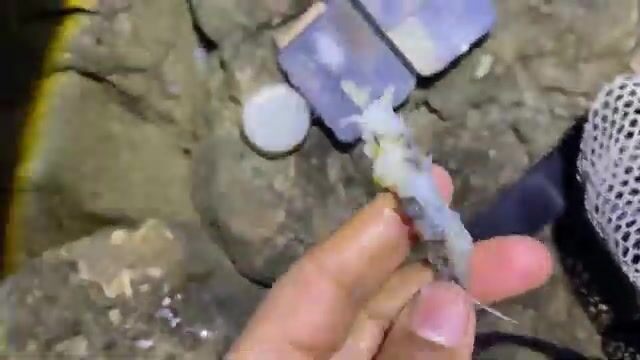 Ночная рыбалка на скалистом берегу к югу от Эс-Сувейры