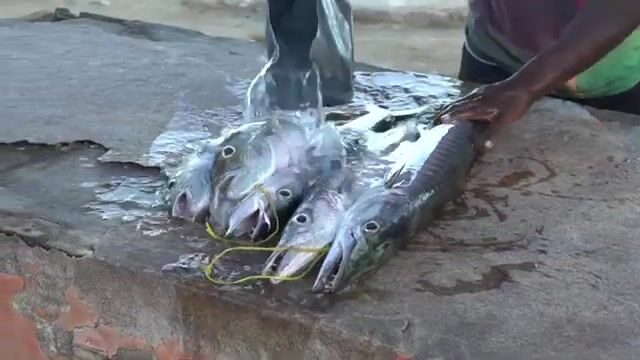 Береговая ловля у валунов на Сейшелах