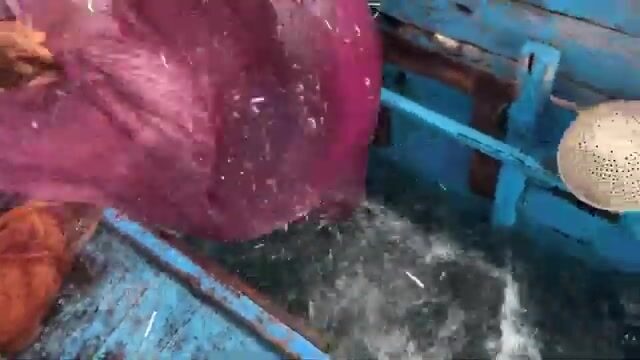 Ловля живца и тунца на Баа