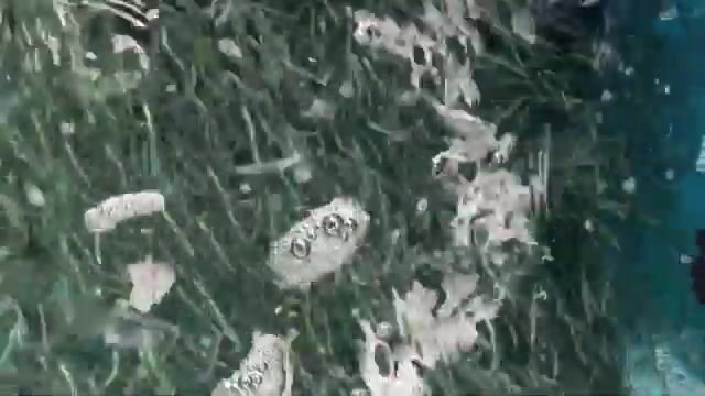 Ловля живца и тунца на Баа