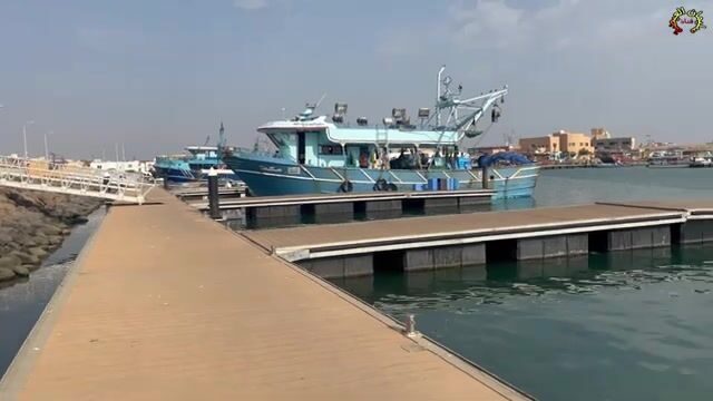 Морская рыбалка в Кунфуде