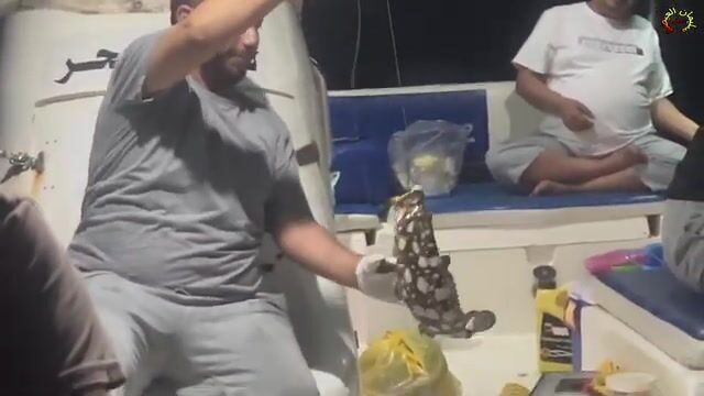 Морская рыбалка в Кунфуде