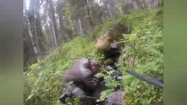 Чупа на Белом море: три форели с лесного озера и возвращение к морю