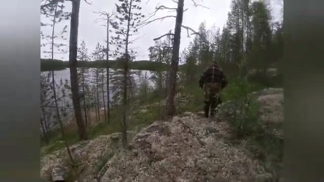 Чупа на Белом море: три форели с лесного озера и возвращение к морю