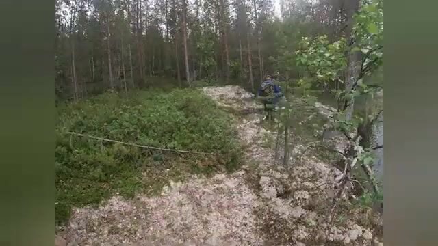 Чупа на Белом море: три форели с лесного озера и возвращение к морю