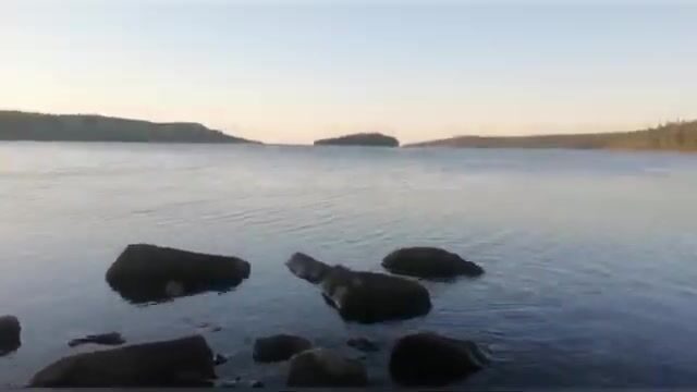 Чупа на Белом море: три форели с лесного озера и возвращение к морю