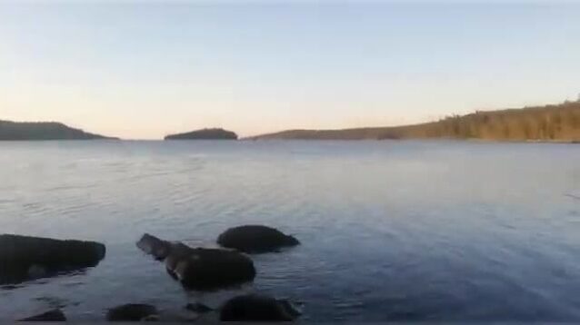 Чупа на Белом море: три форели с лесного озера и возвращение к морю