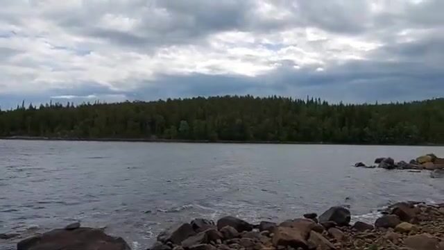 Чупа на Белом море: три форели с лесного озера и возвращение к морю