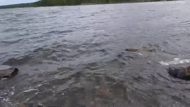 Чупа на Белом море: три форели с лесного озера и возвращение к морю