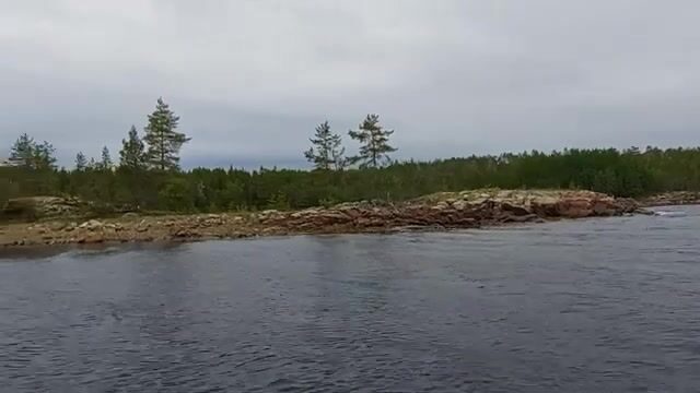 Чупа на Белом море: три форели с лесного озера и возвращение к морю
