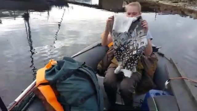 Камбала в Белом море у Северодвинска