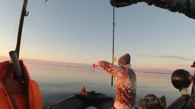 Камбала в Белом море у Северодвинска