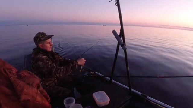 Камбала в Белом море у Северодвинска