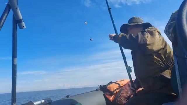 Камбала в Белом море у Северодвинска