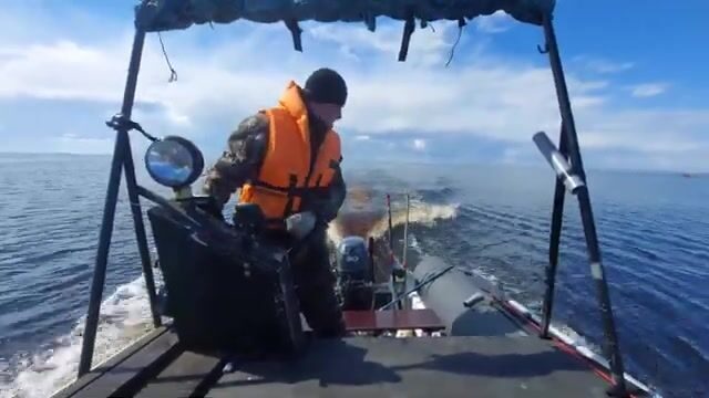 Камбала в Белом море у Северодвинска