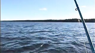 Осенний троллинг в Жабеницах на Онеге