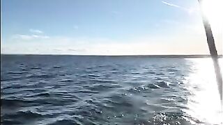 Осенний троллинг в Жабеницах на Онеге