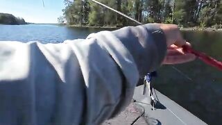 Семейная ловля окуня в Уницкой губе Онежского озера