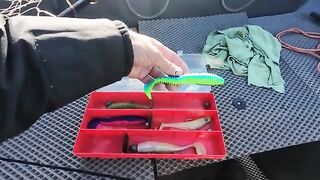 Семейная ловля окуня в Уницкой губе Онежского озера