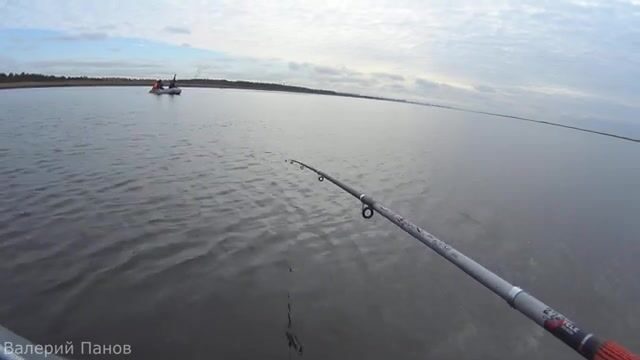 Рыбалка в Яндовой губе Белого моря