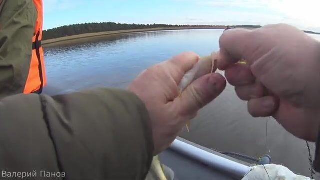Рыбалка в Яндовой губе Белого моря