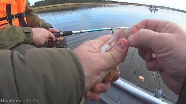 Рыбалка в Яндовой губе Белого моря