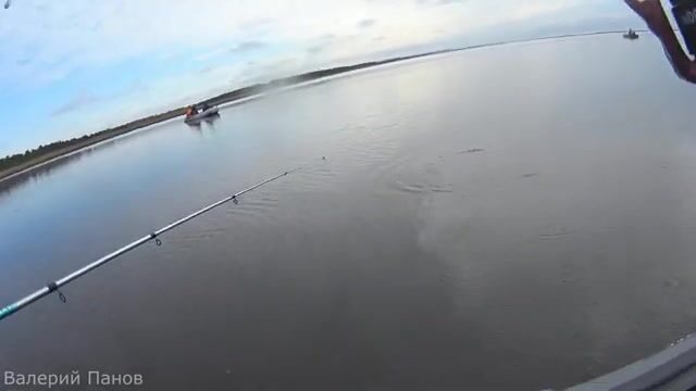 Рыбалка в Яндовой губе Белого моря