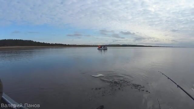 Рыбалка в Яндовой губе Белого моря
