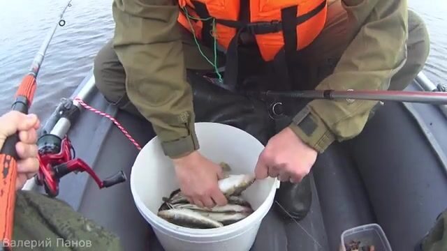 Рыбалка в Яндовой губе Белого моря
