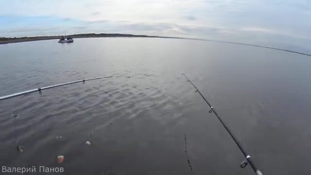 Рыбалка в Яндовой губе Белого моря