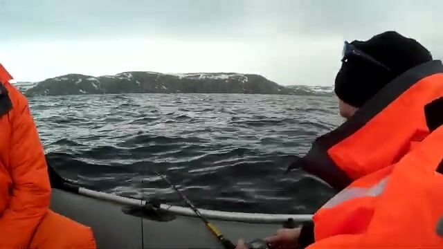 Рыбалка на Баренцевом море у Ура-Губы