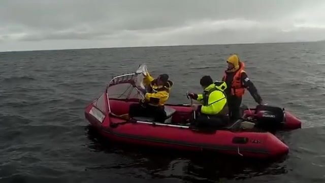 Рыбалка на Баренцевом море у Ура-Губы