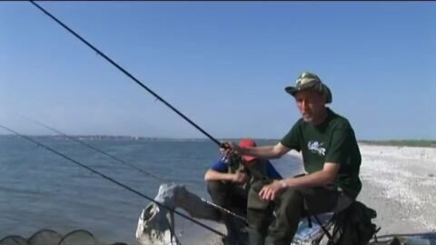 Пеленгас на лиманного червя в Азовском море