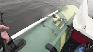 Осенний судак на Финском заливе: два рекорда за вечер
