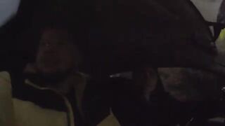 Осенний судак на Финском заливе: два рекорда за вечер