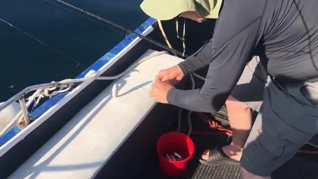 Крым: катер от причала Ай-Петри и ловля на пустой крючок