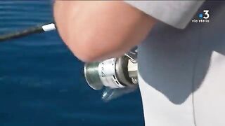 Танута в заливе Аяччо с друзьями детства