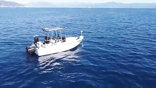 Сериола и денти на живого кальмара у Корсики