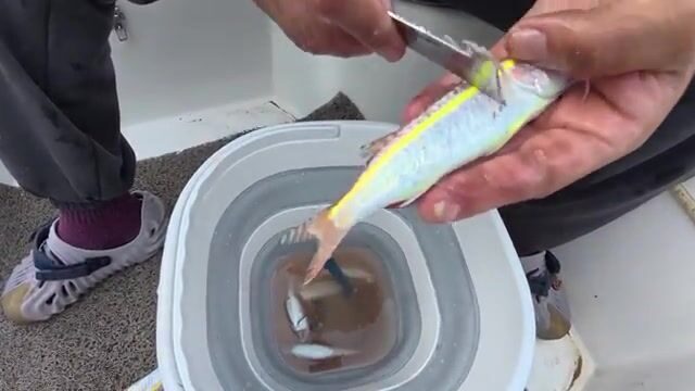 Первая рыбалка в Селимие: улов и внезапный дождь
